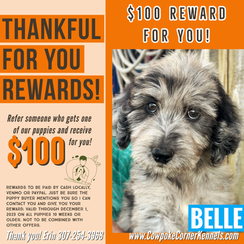 191C7E57-EC4C-46B1-9B08-FDB68AE859D9