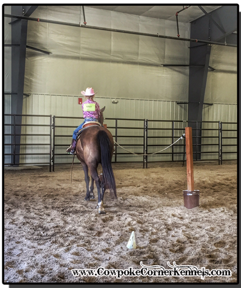4-H-Trail-Class