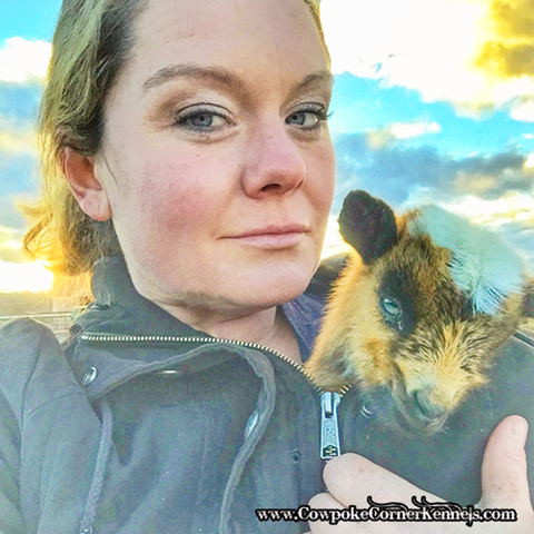 baby-goat-selfie