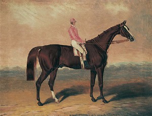"Birdcatcher" with jockey up