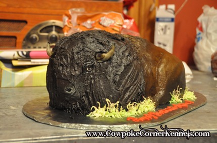 Bison Cake 0001