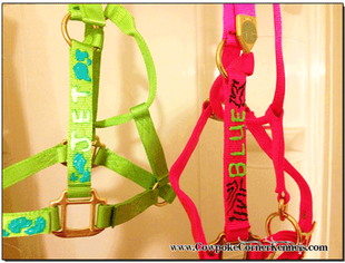 custom-Halters 5707