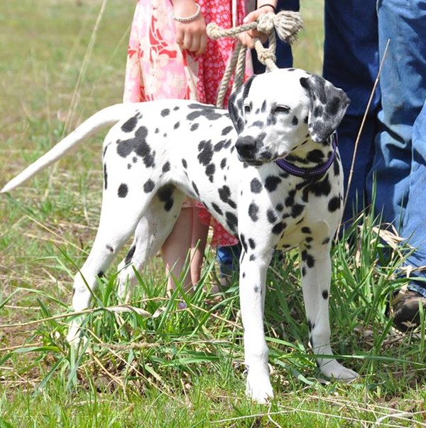 Delilah