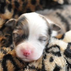 DSC 0429 - Version 2