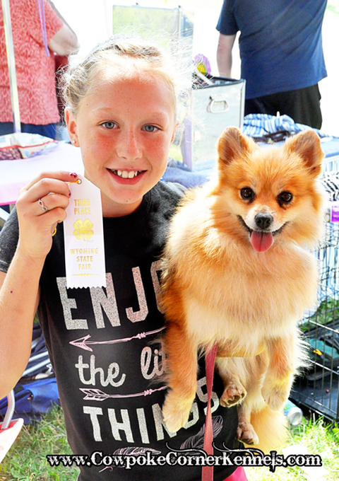 first-state-fair-ribbon