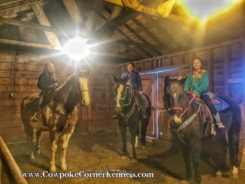 Girls-and-horses