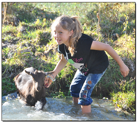 Goat-bath 0445