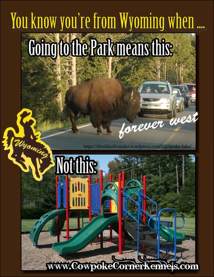 going to the park