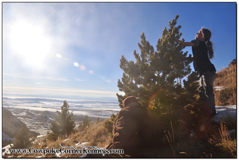 Oh-Christmas-Tree 0177