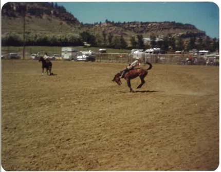 old horse