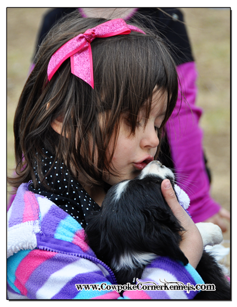 Puppy-kisses 0954