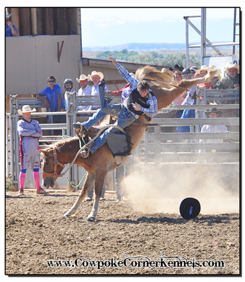 Rodeo-Rusty 0645
