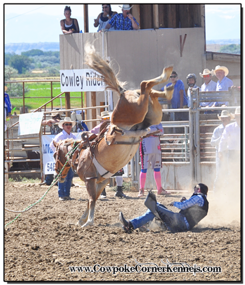 Rusty-rodeo 0649