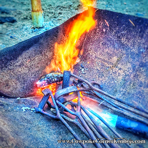 the-fire-is-so-delightful