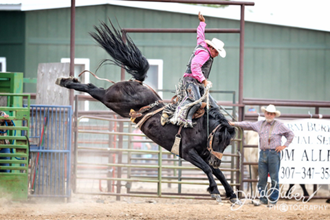 Wyoming-Bucking-horse 8829