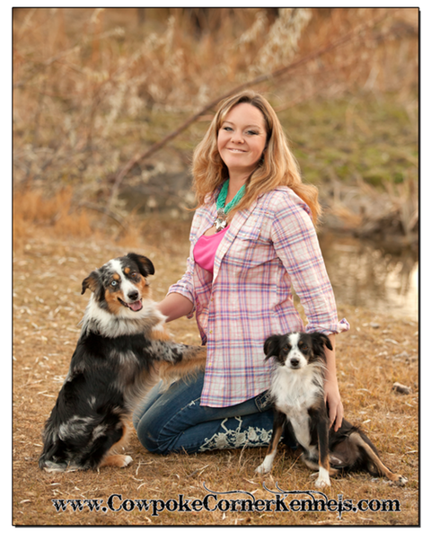 Wyoming-Miniature-Australian-Shepherds