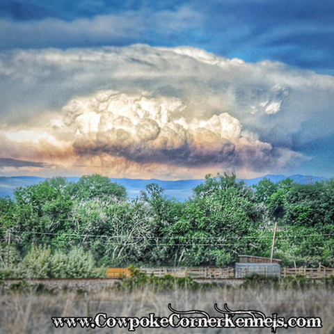 Wyoming-skies